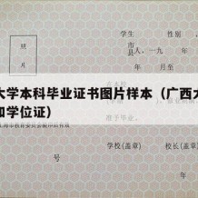 广西大学本科毕业证书图片样本（广西大学毕业证和学位证）