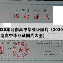 2020年河南高中毕业证图片（2020年河南高中毕业证图片大全）