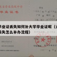 大学毕业证丢失如何补大学毕业证呢（大学毕业证丢失怎么补办流程）