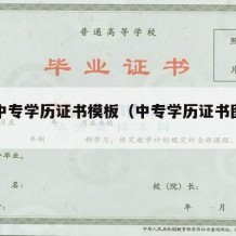 职业中专学历证书模板（中专学历证书图片高清）