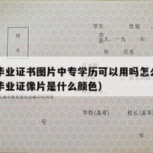 中专毕业证书图片中专学历可以用吗怎么弄（中专毕业证像片是什么颜色）