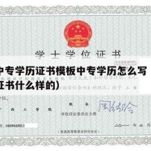 职业中专学历证书模板中专学历怎么写（中专学历证书什么样的）