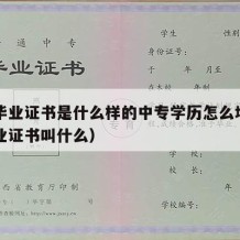 中专毕业证书是什么样的中专学历怎么填（中专毕业证书叫什么）