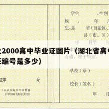 湖北2000高中毕业证图片（湖北省高中毕业证编号是多少）