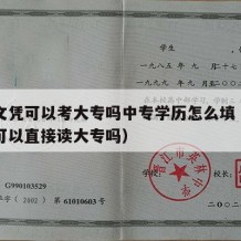 中专文凭可以考大专吗中专学历怎么填（中专文凭可以直接读大专吗）