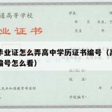 高中毕业证怎么弄高中学历证书编号（高中毕业证编号怎么看）