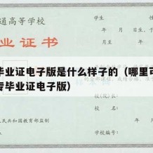 中专毕业证电子版是什么样子的（哪里可以查到中专毕业证电子版）