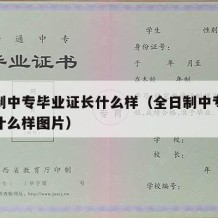 全日制中专毕业证长什么样（全日制中专毕业证长什么样图片）