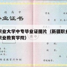 新疆职业大学中专毕业证图片（新疆职业大学中等职业教育学院）