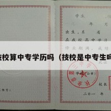 技校算中专学历吗（技校是中专生吗）