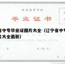 辽宁省中专毕业证图片大全（辽宁省中专毕业证图片大全最新）