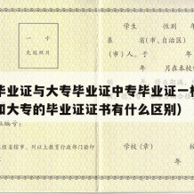 中专毕业证与大专毕业证中专毕业证一样吗（中专和大专的毕业证证书有什么区别）