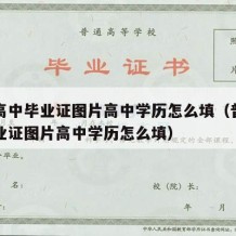 普通高中毕业证图片高中学历怎么填（普通高中毕业证图片高中学历怎么填）