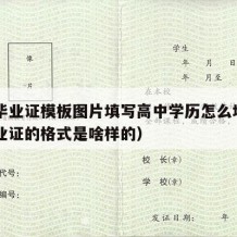 高中毕业证模板图片填写高中学历怎么填（高中毕业证的格式是啥样的）