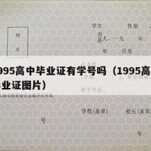 1995高中毕业证有学号吗（1995高中毕业证图片）