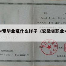 安徽中专毕业证什么样子（安徽省职业中专毕业证）