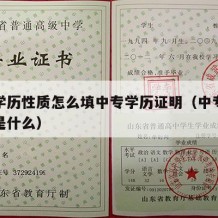 中专学历性质怎么填中专学历证明（中专学历证明是什么）