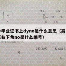 高中毕业证书上dyno是什么意思（高中毕业证右下角no是什么编号）