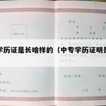 中专学历证是长啥样的（中专学历证明是什么样的）