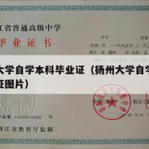 扬州大学自学本科毕业证（扬州大学自学本科毕业证图片）