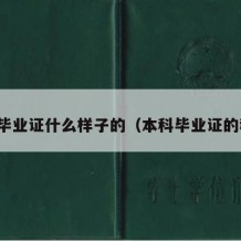 本科毕业证什么样子的（本科毕业证的种类）