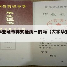 大学毕业证书样式是统一的吗（大学毕业证书样子）