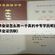 中专毕业证怎么弄一个真的中专学历呢图片（中专毕业证仿制）