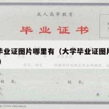 大学毕业证图片哪里有（大学毕业证图片高清 生成）