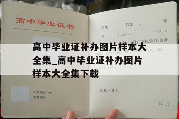 高中毕业证补办图片样本大全集_高中毕业证补办图片样本大全集下载